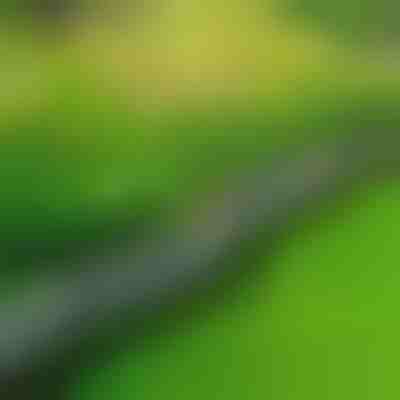 Kamniti robniki za vrt (10 kosov) | MINIFENCE