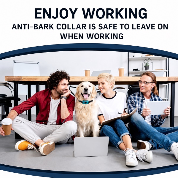 BARKYGUARD-3831127658972-EN-4__080726